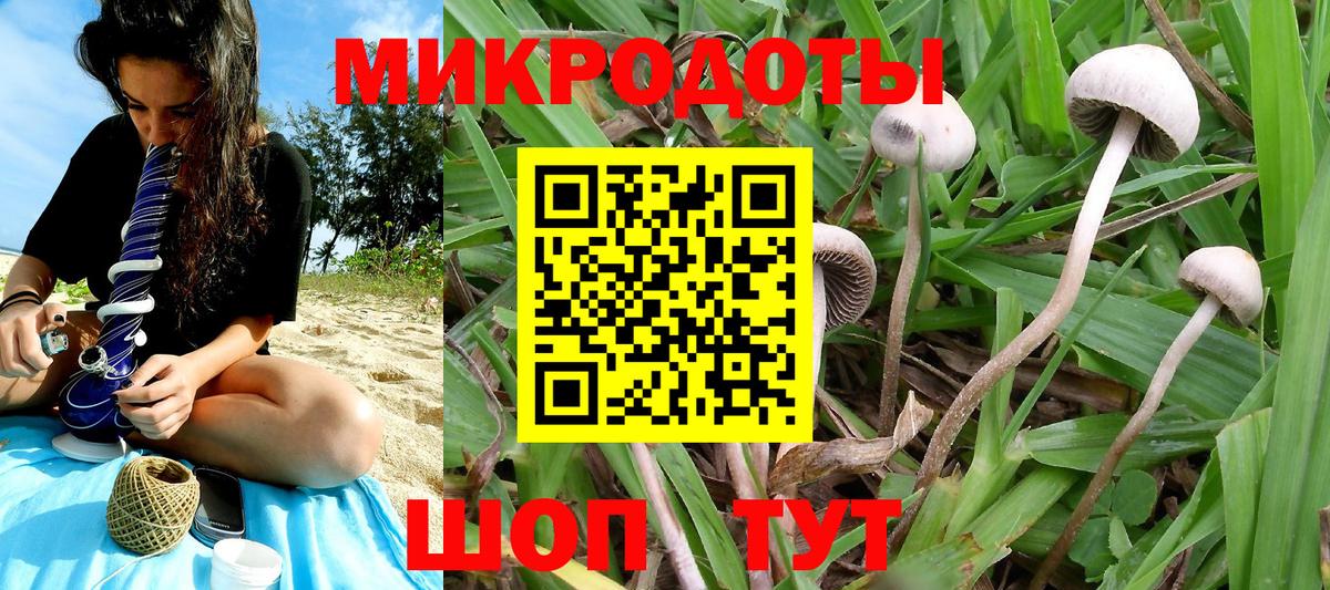 Псилоцибиновые грибы GOLDEN TEACHER  Вход с VPN  Благодарный 